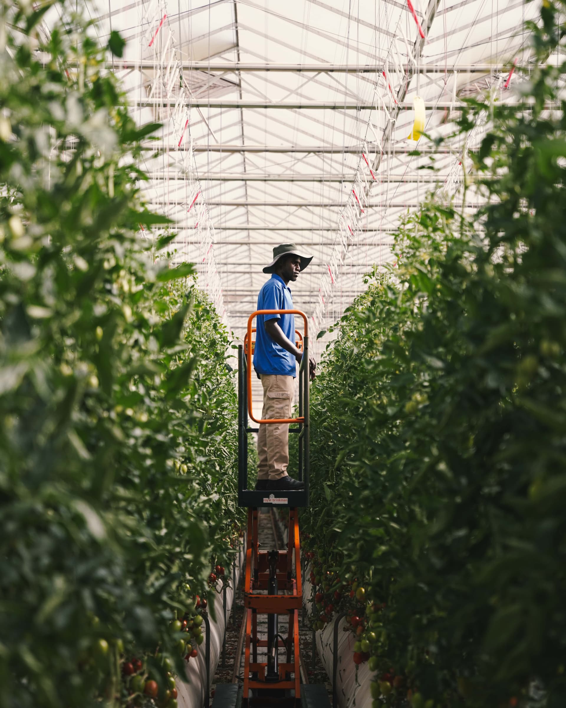 Social Media Management